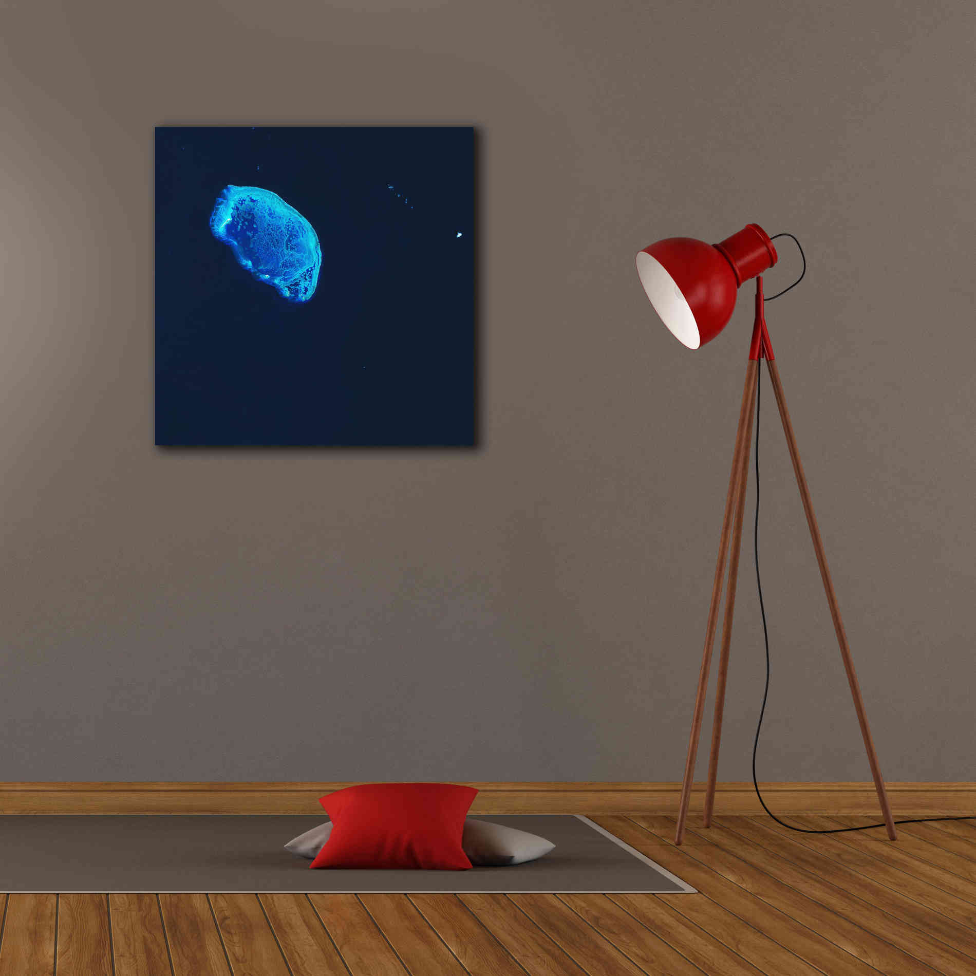 'Earth as Art: Scorpion Reef,' Canvas Wall Art,26 x 26