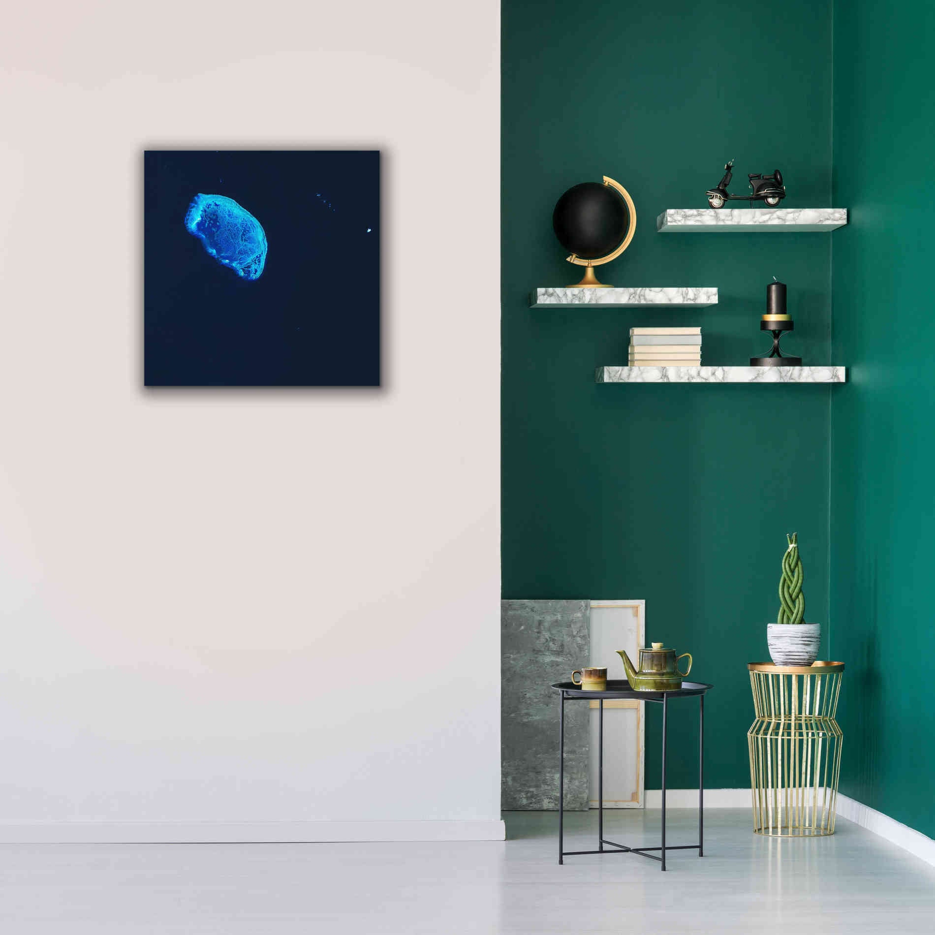 'Earth as Art: Scorpion Reef,' Canvas Wall Art,26 x 26