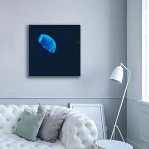 'Earth as Art: Scorpion Reef,' Canvas Wall Art,37 x 37