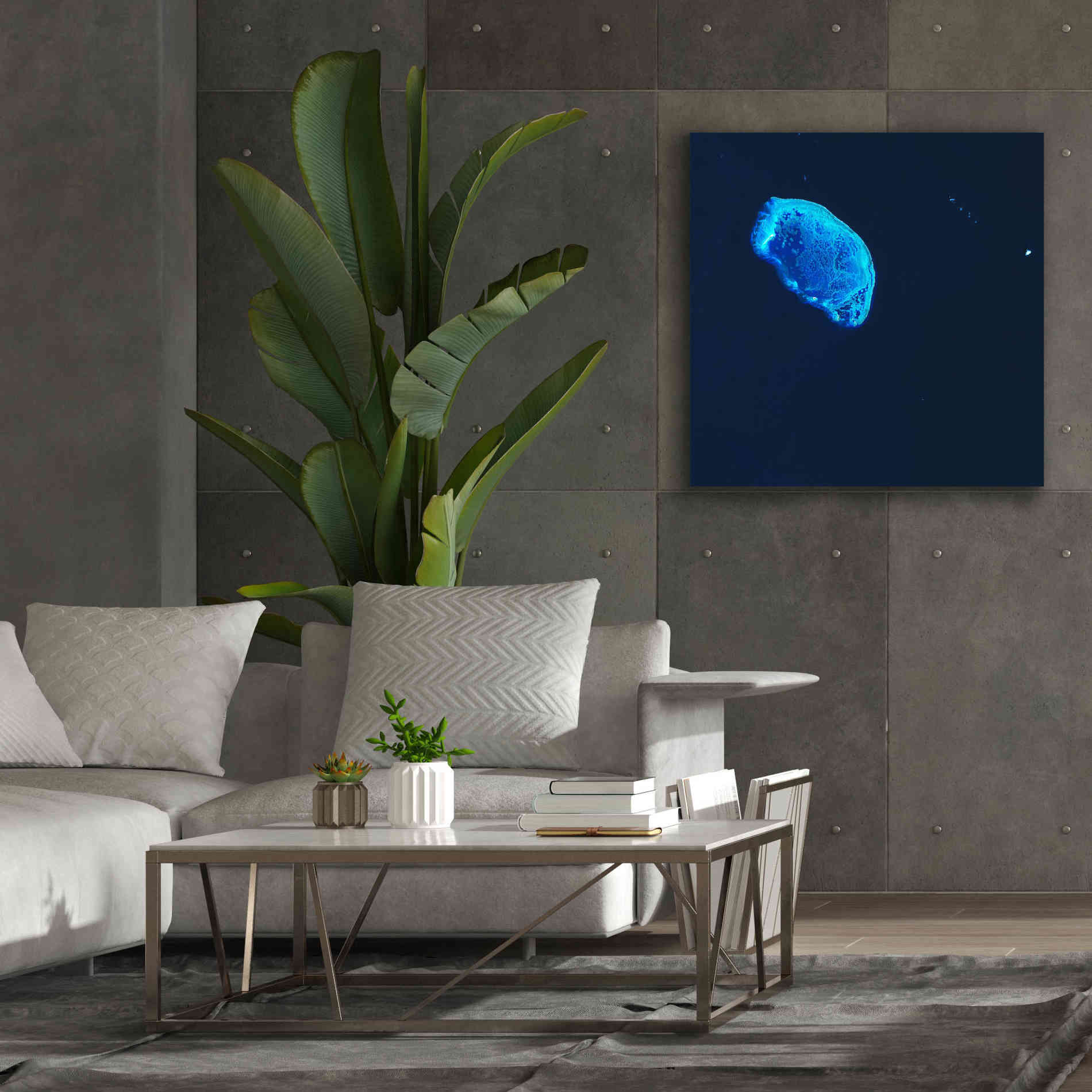 'Earth as Art: Scorpion Reef,' Canvas Wall Art,37 x 37