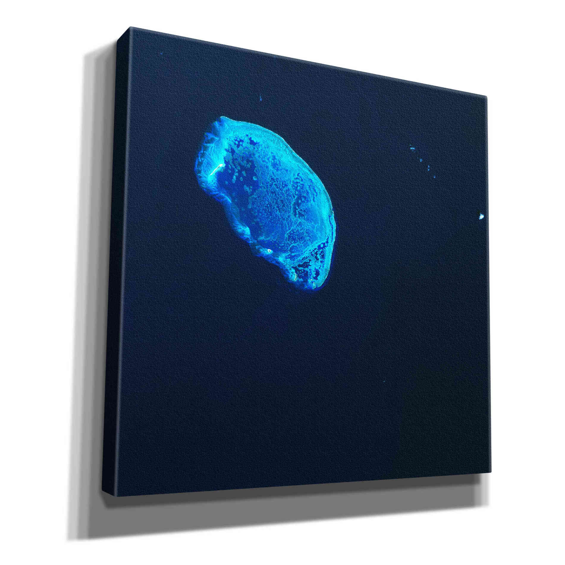 'Earth as Art: Scorpion Reef,' Canvas Wall Art,12x12x1.1x0,18x18x1.1x0,26x26x1.74x0,37x37x1.74x0