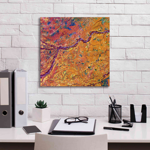 Image of 'Earth as Art: Capillaries,' Canvas Wall Art,18 x 18