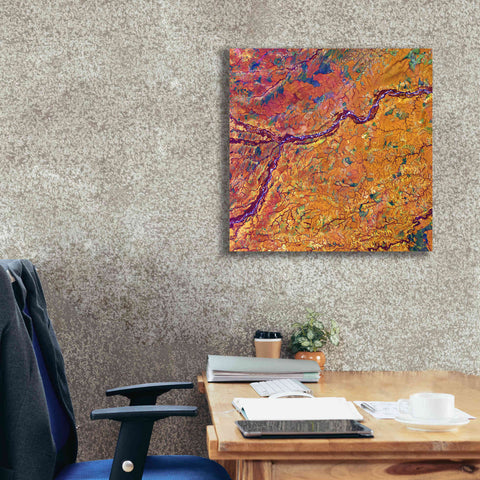 Image of 'Earth as Art: Capillaries,' Canvas Wall Art,26 x 26