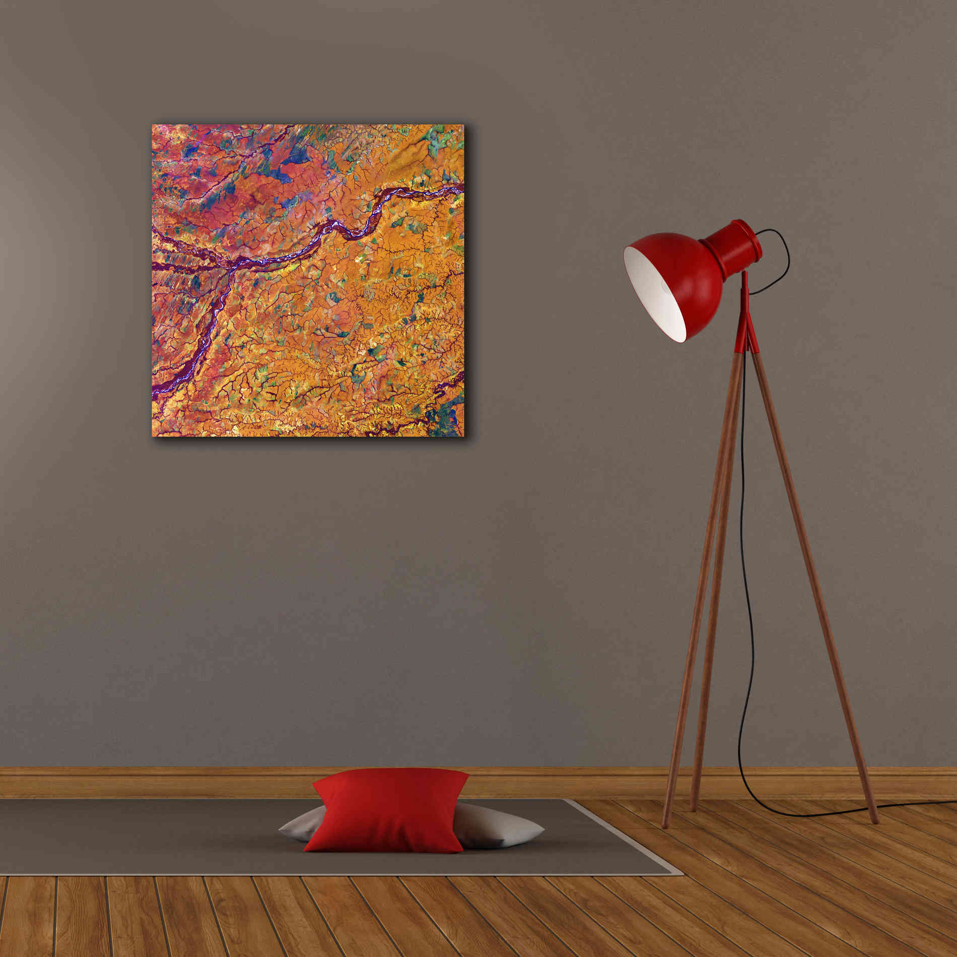 'Earth as Art: Capillaries,' Canvas Wall Art,26 x 26
