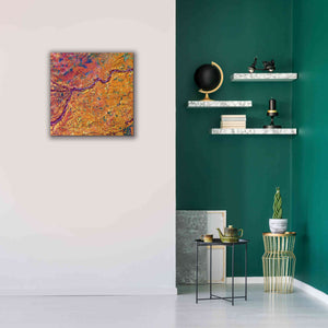 'Earth as Art: Capillaries,' Canvas Wall Art,26 x 26