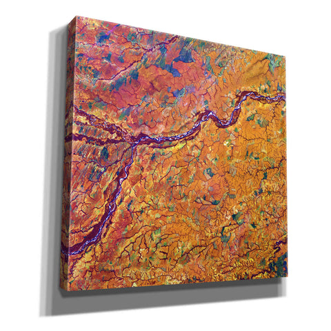Image of 'Earth as Art: Capillaries,' Canvas Wall Art,12x12x1.1x0,18x18x1.1x0,26x26x1.74x0,37x37x1.74x0