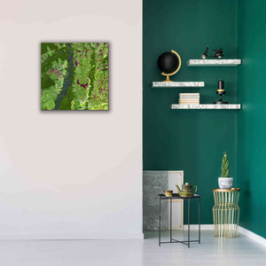 'Earth as Art: Oxbows in Bolivia,' Canvas Wall Art,26 x 26