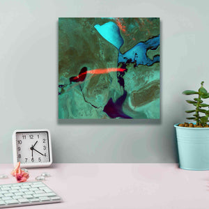 'Earth as Art: Bleeding Heart,' Canvas Wall Art,12 x 12