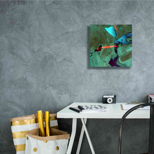 'Earth as Art: Bleeding Heart,' Canvas Wall Art,12 x 12
