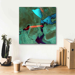 'Earth as Art: Bleeding Heart,' Canvas Wall Art,18 x 18