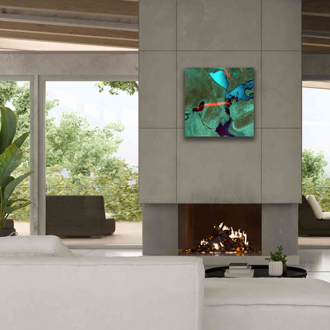 Image of 'Earth as Art: Bleeding Heart,' Canvas Wall Art,26 x 26