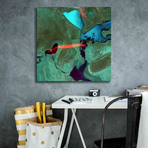'Earth as Art: Bleeding Heart,' Canvas Wall Art,26 x 26