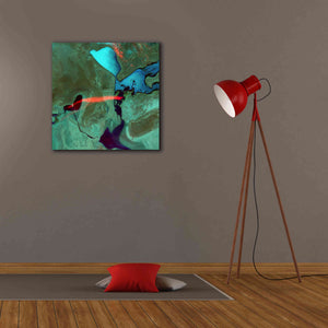 'Earth as Art: Bleeding Heart,' Canvas Wall Art,26 x 26