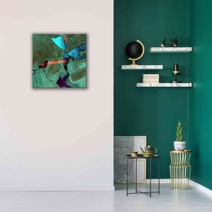 'Earth as Art: Bleeding Heart,' Canvas Wall Art,26 x 26