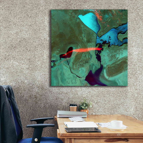 Image of 'Earth as Art: Bleeding Heart,' Canvas Wall Art,37 x 37