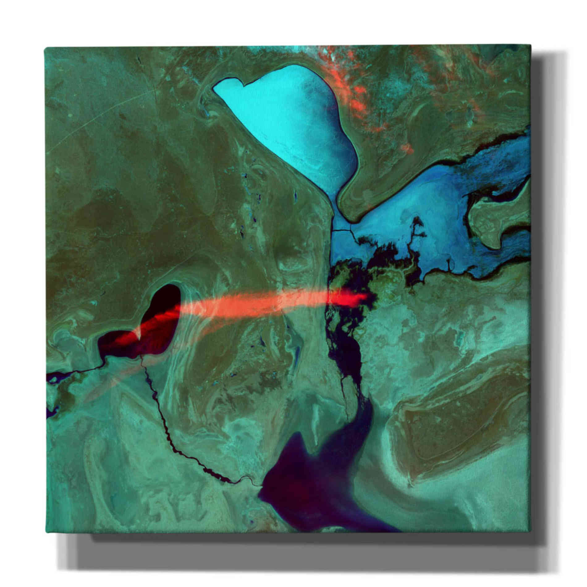 'Earth as Art: Bleeding Heart,' Canvas Wall Art,12x12x1.1x0,18x18x1.1x0,26x26x1.74x0,37x37x1.74x0