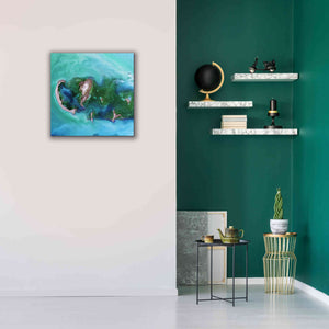 'Earth as Art: Caspian Scour,' Canvas Wall Art,26 x 26