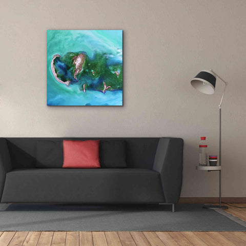 Image of 'Earth as Art: Caspian Scour,' Canvas Wall Art,37 x 37
