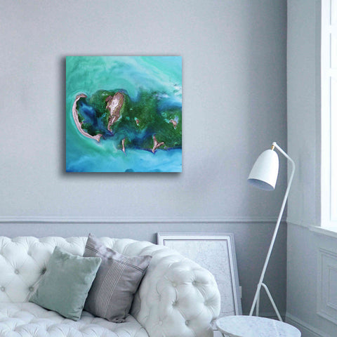 Image of 'Earth as Art: Caspian Scour,' Canvas Wall Art,37 x 37