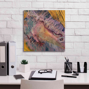 'Earth as Art: Expressions in the Desert,' Canvas Wall Art,18 x 18