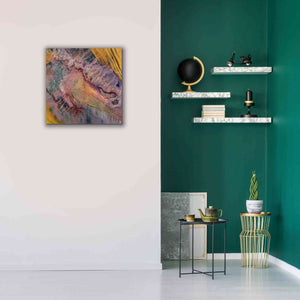 'Earth as Art: Expressions in the Desert,' Canvas Wall Art,26 x 26