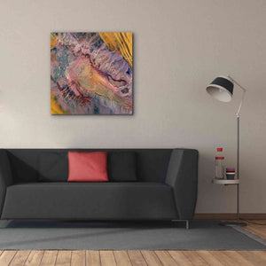 'Earth as Art: Expressions in the Desert,' Canvas Wall Art,37 x 37