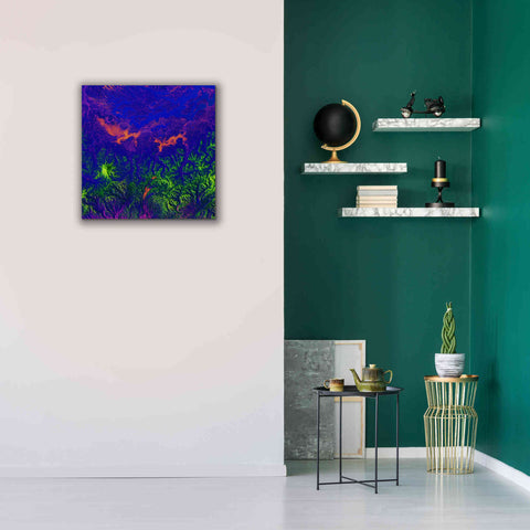 Image of 'Earth as Art: Fanciful Fluorescence,' Canvas Wall Art,26 x 26