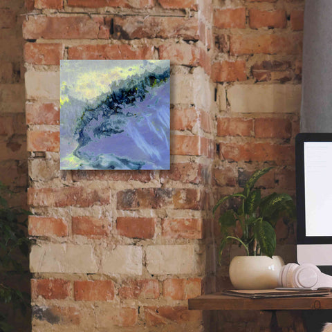 Image of 'Earth as Art: Lurking Madness,' Canvas Wall Art,12 x 12