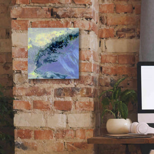 'Earth as Art: Lurking Madness,' Canvas Wall Art,12 x 12