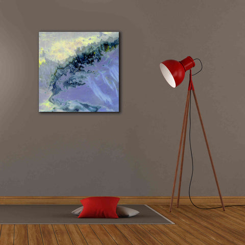 Image of 'Earth as Art: Lurking Madness,' Canvas Wall Art,26 x 26