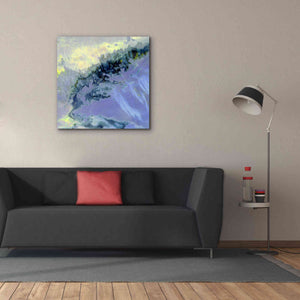 'Earth as Art: Lurking Madness,' Canvas Wall Art,37 x 37
