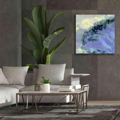 Image of 'Earth as Art: Lurking Madness,' Canvas Wall Art,37 x 37