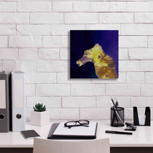 'Earth as Art: Painted Horse,' Canvas Wall Art,12 x 12
