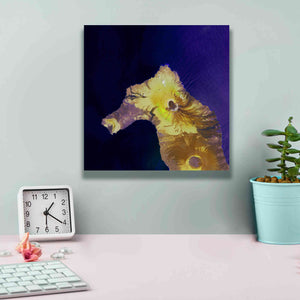 'Earth as Art: Painted Horse,' Canvas Wall Art,12 x 12