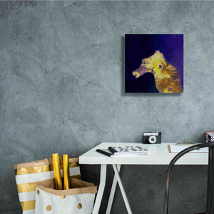 'Earth as Art: Painted Horse,' Canvas Wall Art,12 x 12