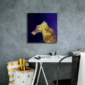 'Earth as Art: Painted Horse,' Canvas Wall Art,18 x 18