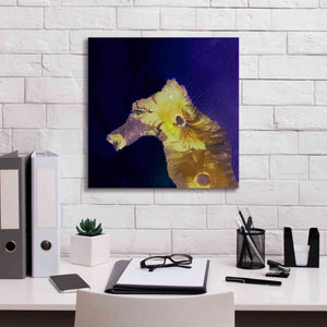 'Earth as Art: Painted Horse,' Canvas Wall Art,18 x 18