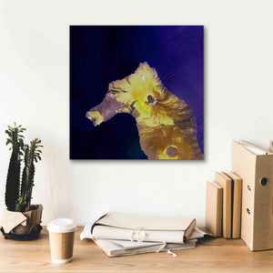 'Earth as Art: Painted Horse,' Canvas Wall Art,18 x 18