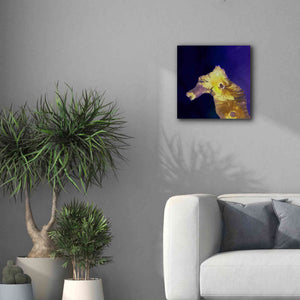 'Earth as Art: Painted Horse,' Canvas Wall Art,18 x 18