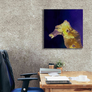 'Earth as Art: Painted Horse,' Canvas Wall Art,26 x 26
