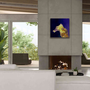 'Earth as Art: Painted Horse,' Canvas Wall Art,26 x 26