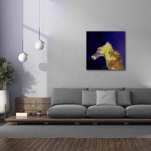 'Earth as Art: Painted Horse,' Canvas Wall Art,37 x 37