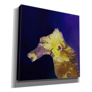 'Earth as Art: Painted Horse,' Canvas Wall Art,12x12x1.1x0,18x18x1.1x0,26x26x1.74x0,37x37x1.74x0