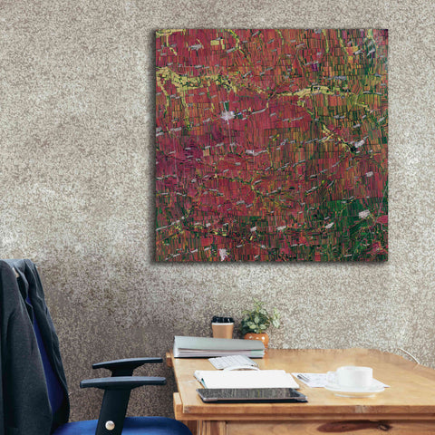 Image of 'Earth as Art: Shifting Shapes,' Canvas Wall Art,37 x 37
