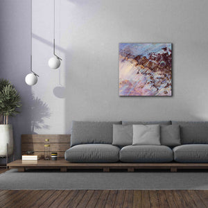 'Earth as Art: Storm Amid the Calm,' Canvas Wall Art,37 x 37