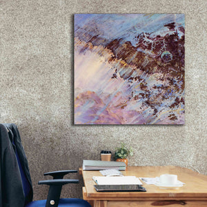 'Earth as Art: Storm Amid the Calm,' Canvas Wall Art,37 x 37
