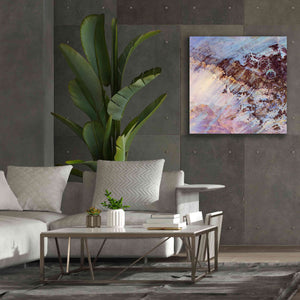 'Earth as Art: Storm Amid the Calm,' Canvas Wall Art,37 x 37