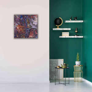 'Earth as Art: Tapestry,' Canvas Wall Art,26 x 26