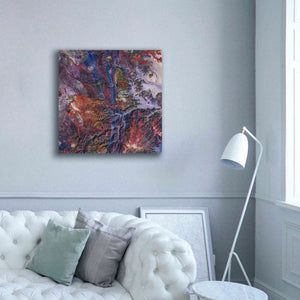 'Earth as Art: Tapestry,' Canvas Wall Art,37 x 37