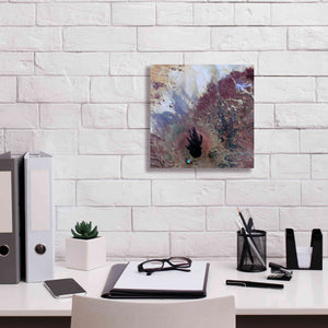 'Earth as Art: The Watcher,' Canvas Wall Art,12 x 12